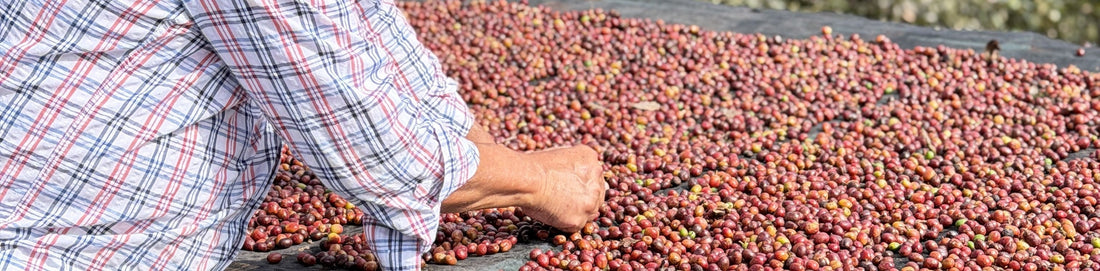 Announcing the Farmer's Impact Fund