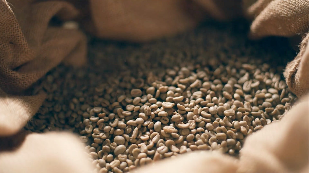 Unbound Brews wholesale coffee bags ready for delivery